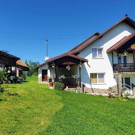 Casa Elena Guest House Bran  Ngoại thất bức ảnh