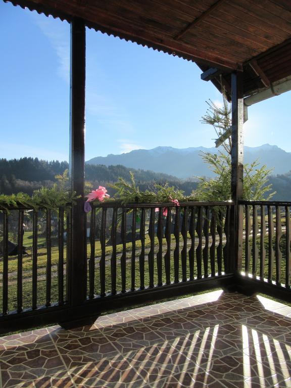 Casa Elena Guest House Bran  Ngoại thất bức ảnh